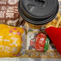 ヒャダ！！(((o(*ﾟ▽ﾟ*)o)))てりたまっちゃったから、早速願いを叶えなきゃだわ♪