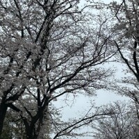 おはようございます
