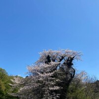 早く( ・∇・)お天気にならないかなぁ、、、え？涼子のお話聞きたいの？なら何かゴチって頂かないと*\(^o^)/*(笑)