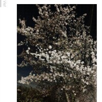 また明日ね★