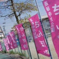 かぐや