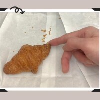 すぐさわりたがる
