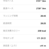 夜トレ??