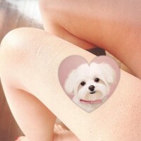 あゆみ