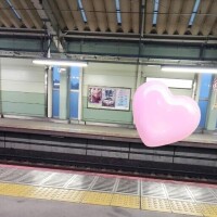 今日までです…?