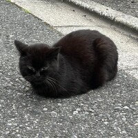 こんなところで