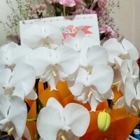 感謝の日\(*´ `*)/