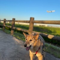 しばらくお休みです。