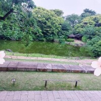 日曜日??