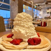 つばさ