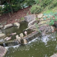もか