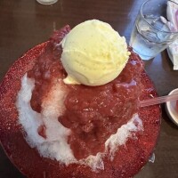 おはよーんまぅた