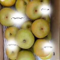 梨梨なーし