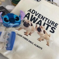 実はパグがめちゃくちゃ