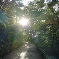 みかさ