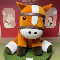 今日は競馬の日