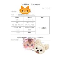 検査結果【すべて陰性】です
