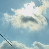やっと帰ってきたー