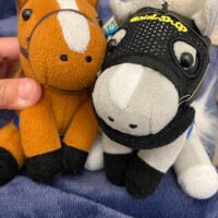家族が増えるよ！やったねのぞみちゃん！