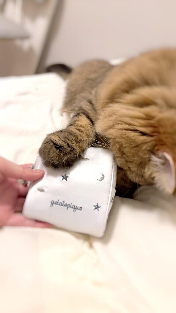 ご褒美ポーチが3つめ