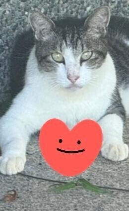 ありがとう(ФωФ)