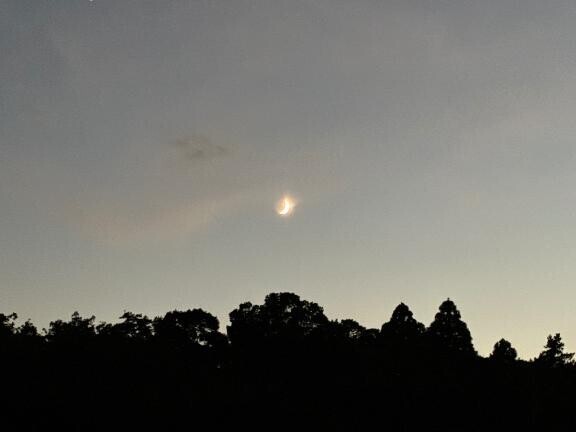 ケムケムの季節が(⁎⁍̴̆Ɛ⁍̴̆⁎)やって来た