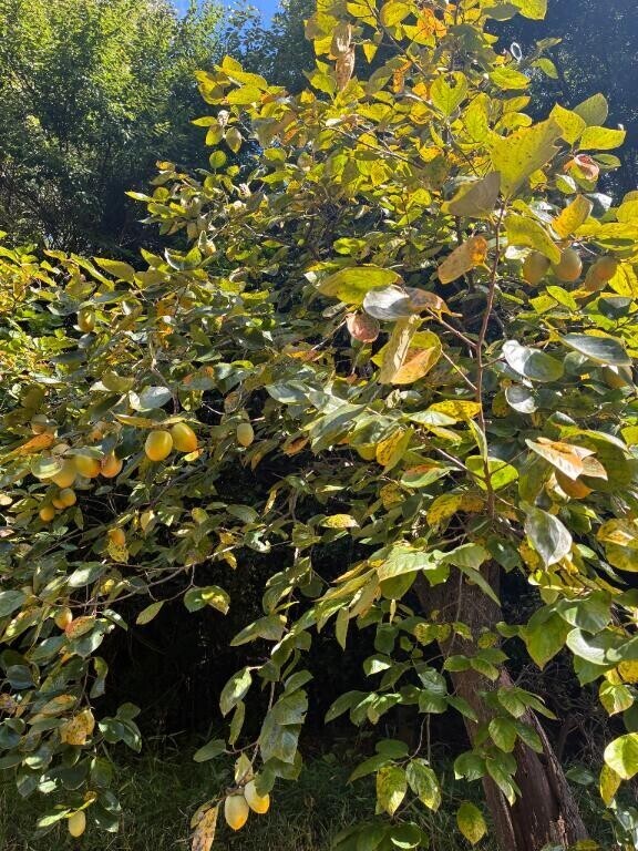 いっぱい*\(^o^)/*なってる〜