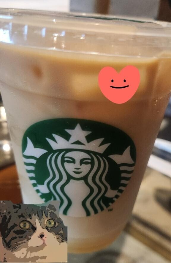 ありがとう(ФωФ)