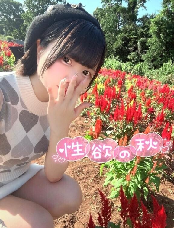 【必見】10月限定