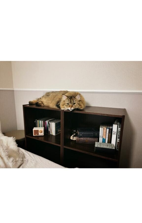 肩の力を抜けるような