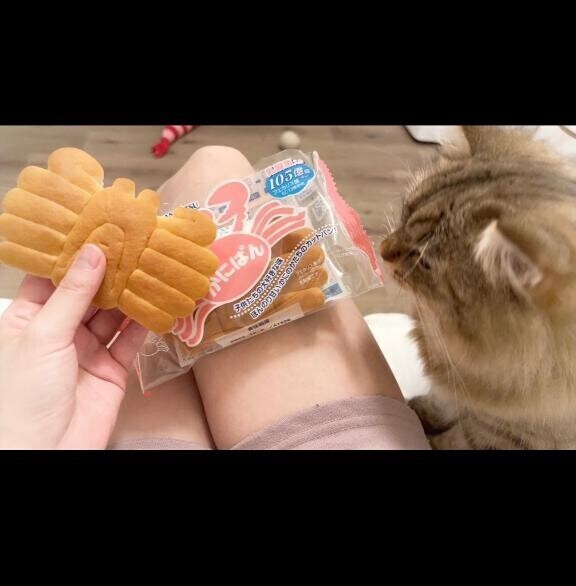 横目で見ながら