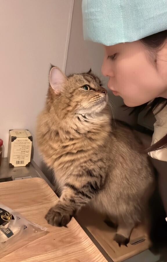 小さな幸せを拾い集めて