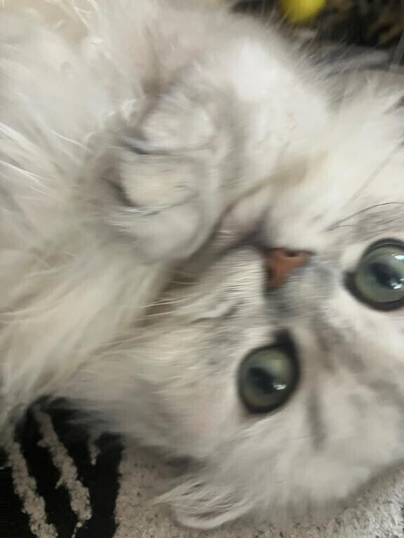 おはようございます