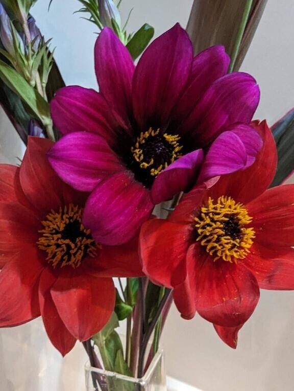 ♡♡満員御礼♡♡