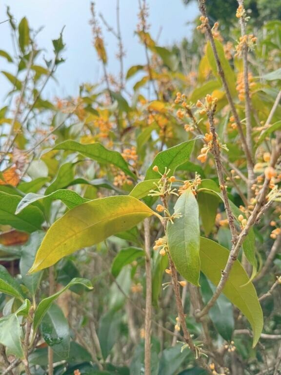 共にがんばろうっ！