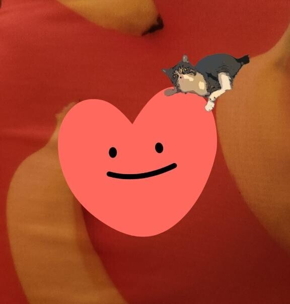 ありがとう(ФωФ)