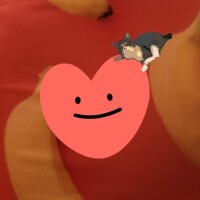 ありがとう(ФωФ)