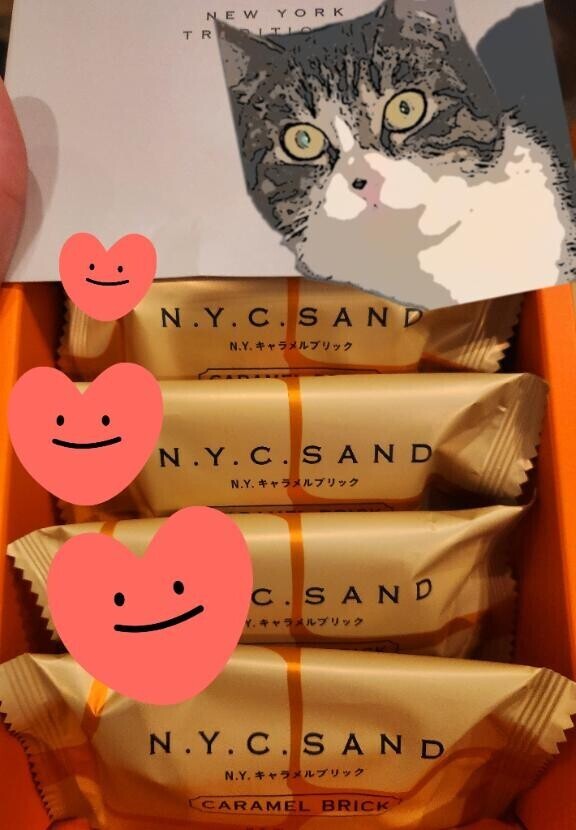 ありがとう(ФωФ)