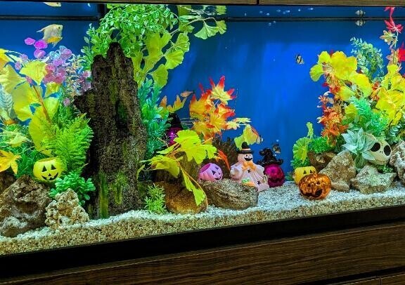 17日ありがとう♡