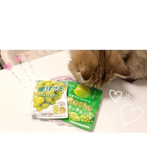 オススメのグミをパクッと