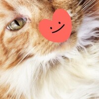 ありがとう(ФωФ)