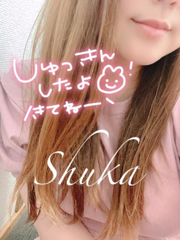 今日も今日とてお得