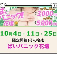 明日(土)イベント★