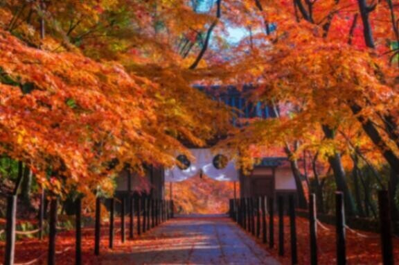 スタートから笑った