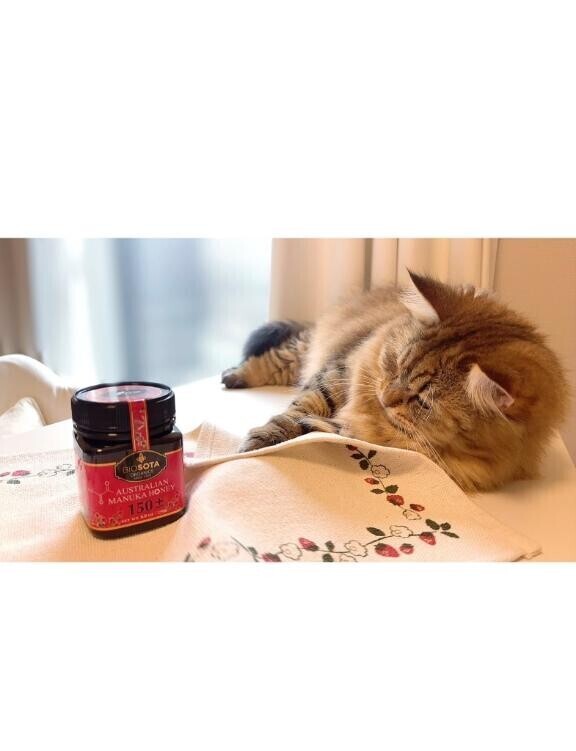 ハチミツみたいに甘くて、ホッとする