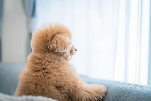 [お題]from:水がぶ飲み☆さん