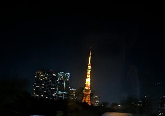 (*ﾉｪﾉ)ｷｬｰ