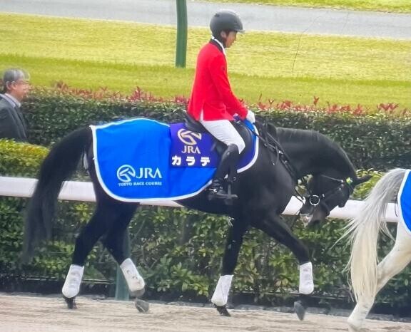 次回の出勤予定は…