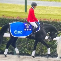 次回の出勤予定は…