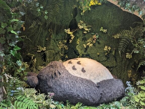 おはよ٩( ´` )۶